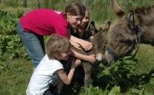 Boerderijcamping De Kreitsberg